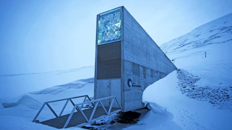 Deep Inside a Mountain in Norway Lies the “Doomsday Vault” — Humanity’s Backup Plan