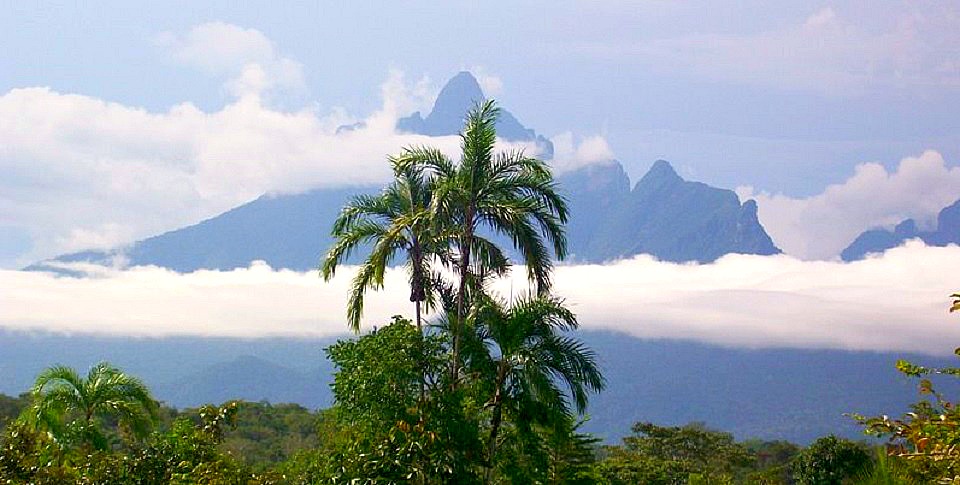 Интересные Факты О Бразилии