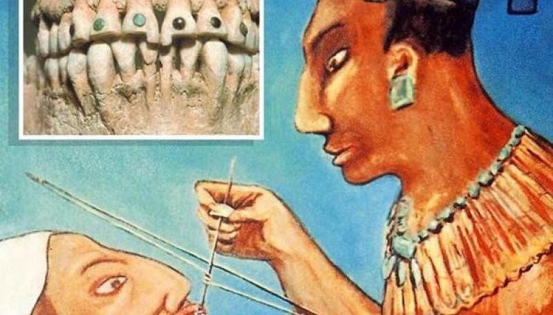 maya медицина