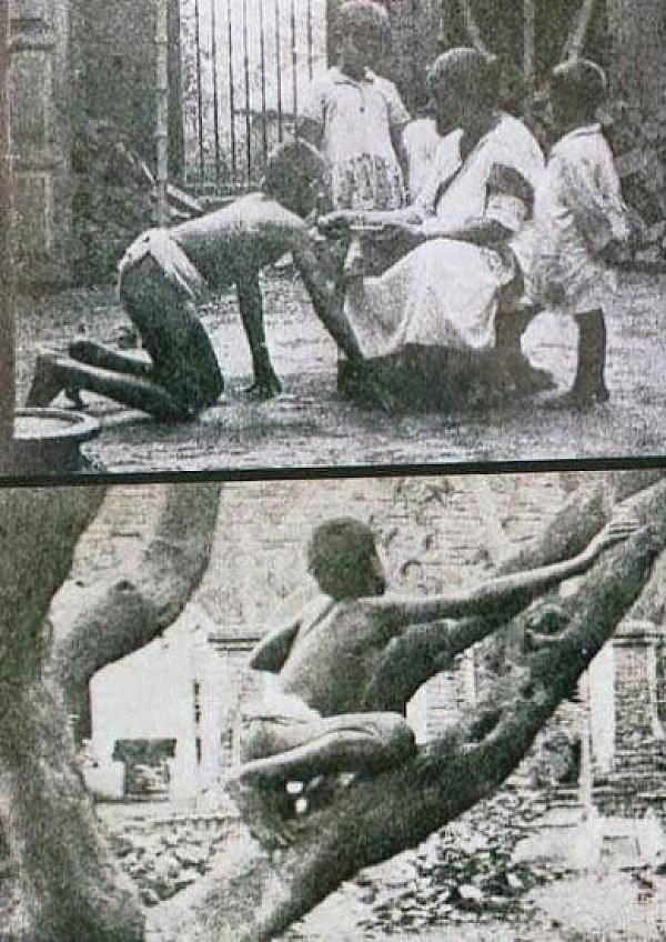 Камала и Амала