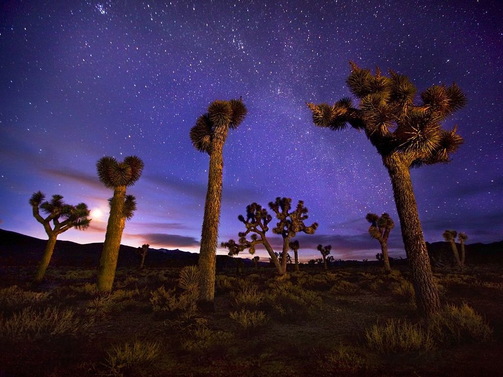 Национальный парк Долина смерти, США