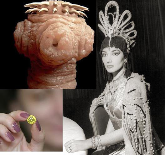 ПОЕДАНИЕ СОЛИТЕРОВ