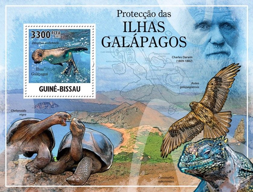 Galápagos Islands