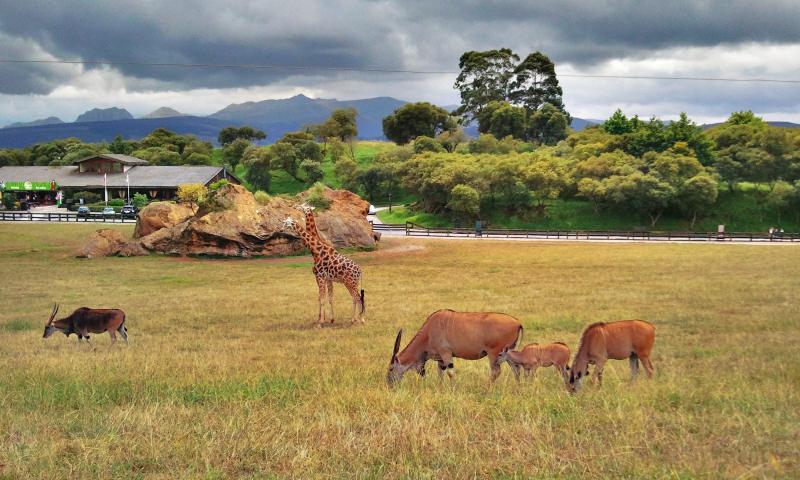 Национальный Парк Кабарсено