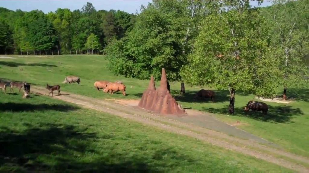 Зоопарк Северной Каролины