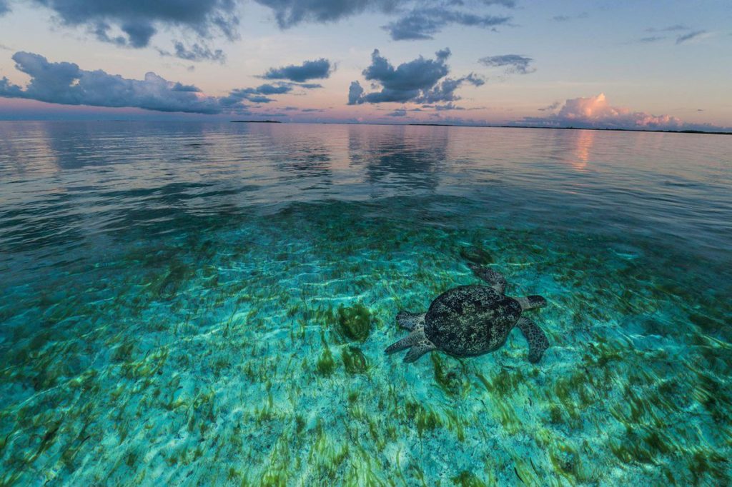 Атолл Альдабра, Сейшельские острова