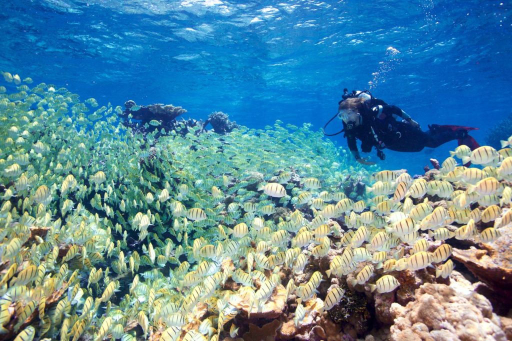 Кауаи, Гавайи