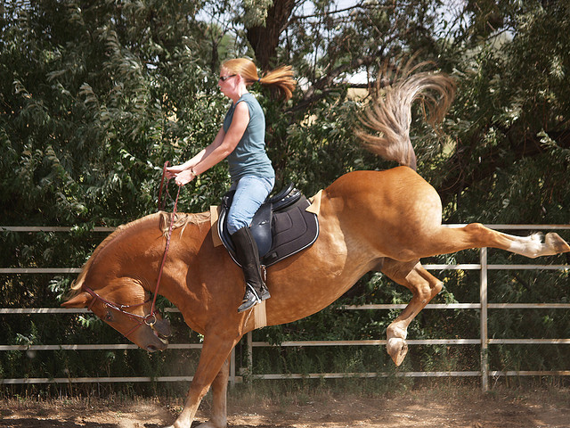 Лошади брыкаются
