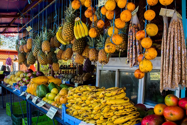 The Hidden Truths of Costa Rica