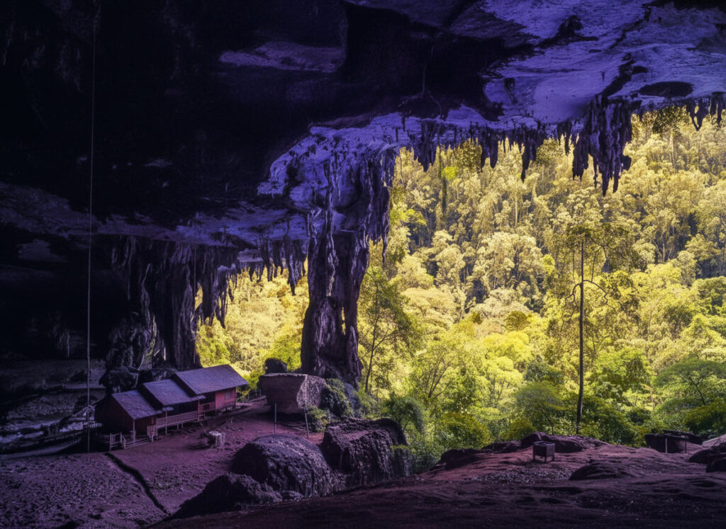 Niah Caves